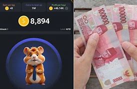 Koin Hamster Kombat Berapa Rupiah